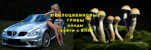 дурь Беломорск