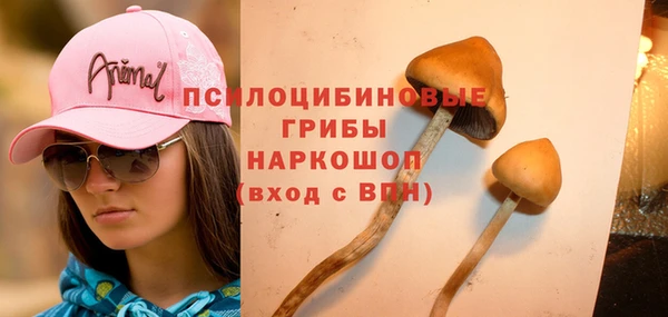 дурь Беломорск