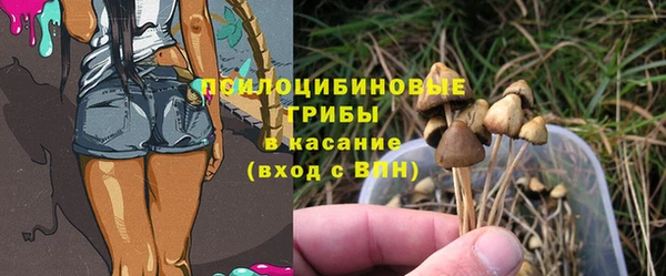 экстази Богданович