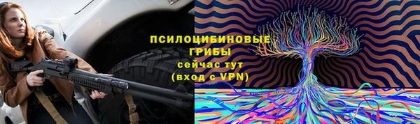 ALPHA-PVP Богородицк