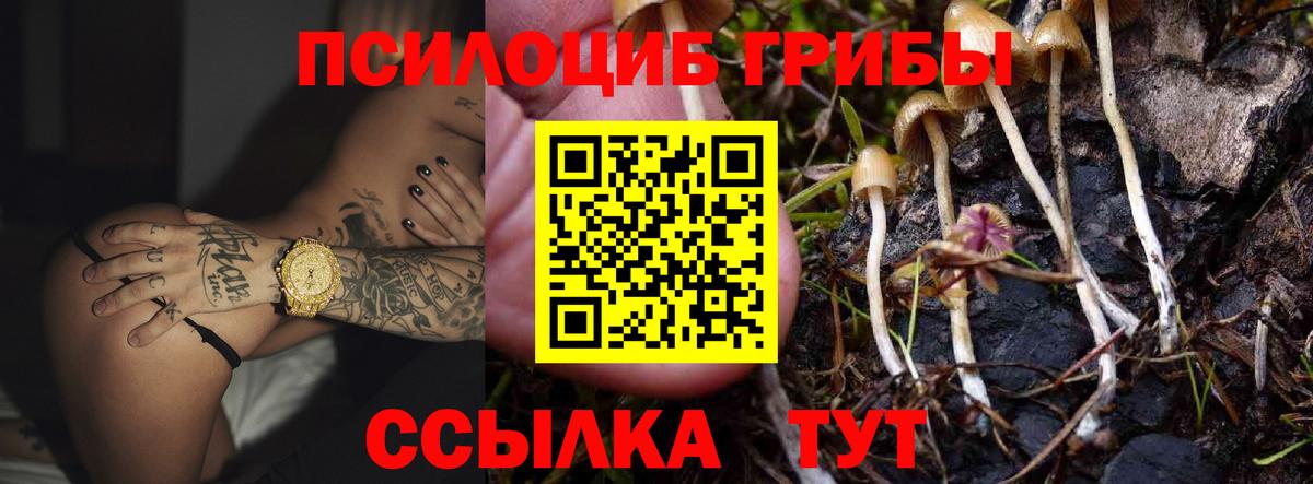 Галлюциногенные грибы MAGIC MUSHROOMS Свободный